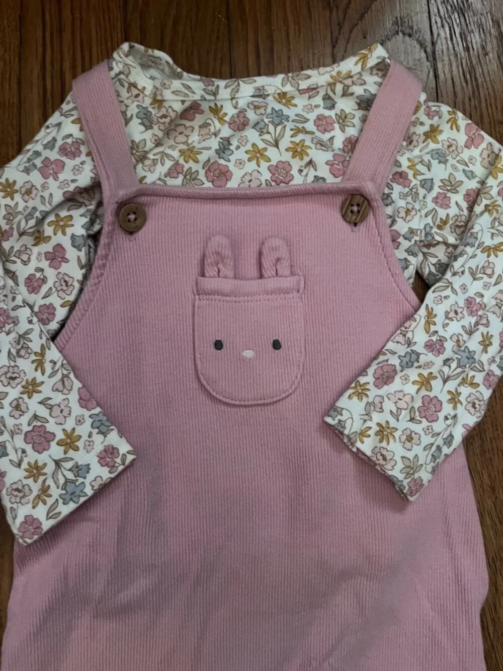 Baby Girl Long Sleeve Spring Sets, Hearts & Bunnies, 9 Months